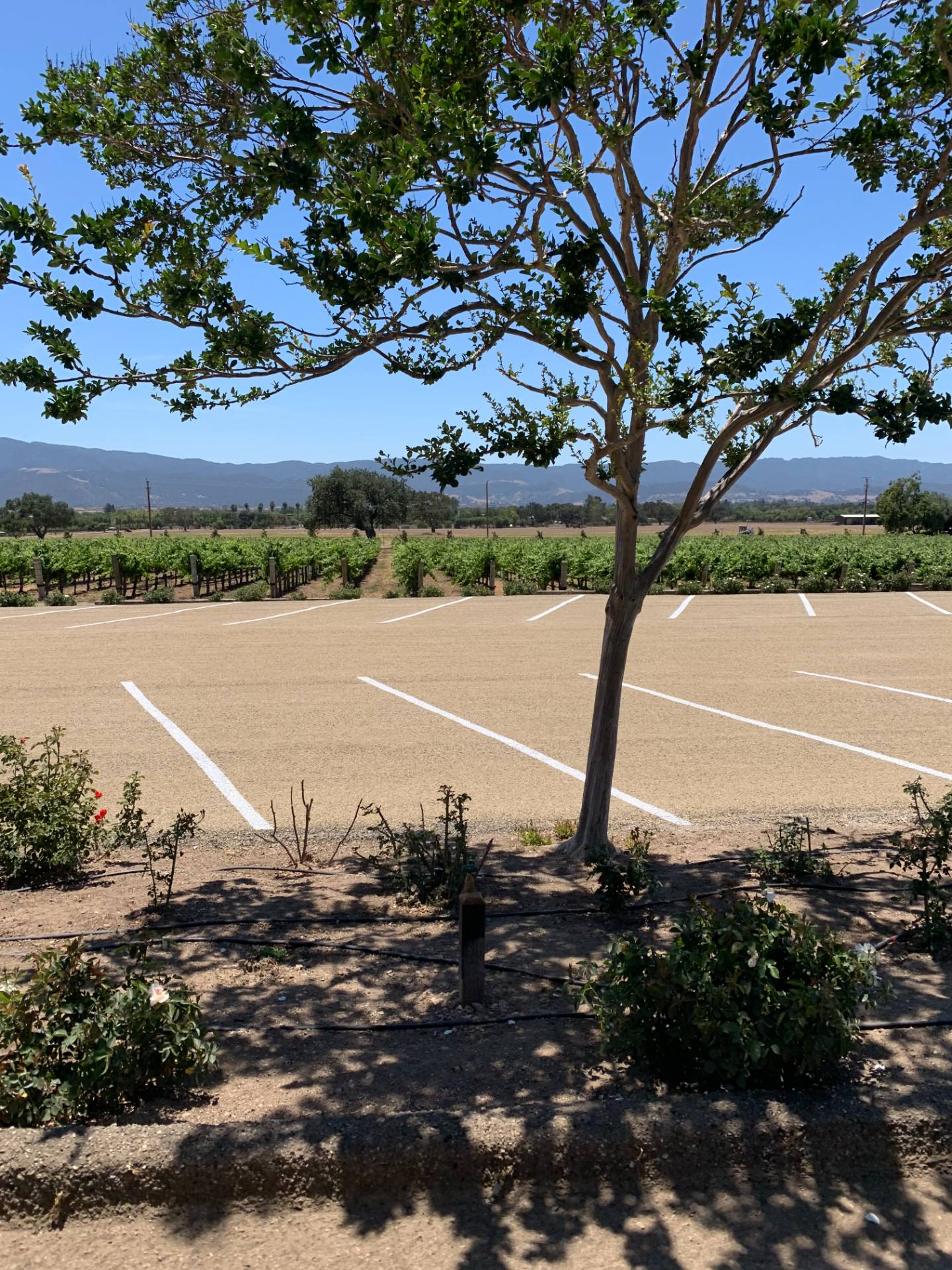 GPM Chip Seal Project in Santa Ynez, CA