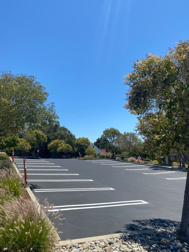 A freshly paved and empty parking lot with bright white lines marking each space. Ornamental grasses, shrubs, and trees with green foliage surround the lot, and a few orange poles line the left side. The sky is clear and blue, suggesting a sunny day with ideal weather.